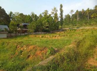 Residential Land for Sale in Pathanamthitta, Mallappally, Kunnamthanam, Near chakkumoodu school kunnamtanam