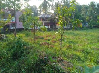 Residential Land for Sale in Pathanamthitta, Mallappally, Kunnamthanam, Near chakkumoodu school kunnamtanam