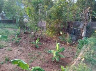 Residential Land for Sale in Pathanamthitta, Mallappally, Kunnamthanam, Near chakkumoodu school kunnamtanam