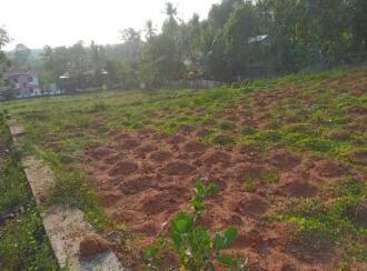 Residential Land for Sale in Pathanamthitta, Mallappally, Kunnamthanam, Near chakkumoodu school kunnamtanam