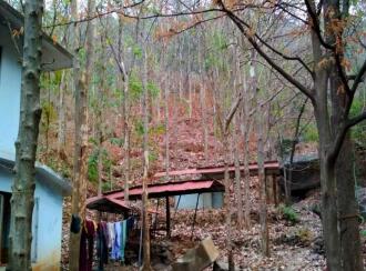 Residential Land for Sale in Malappuram, Perinthalmanna, Perinthalmanna