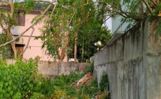 Residential Land for Sale in Palakkad, Palakkad, Puthur, Dolphin Nagar