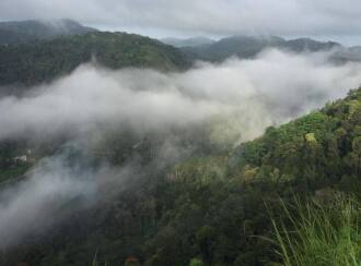 Residential Land for Sale in Idukki, Vagamon, Vagamon, Pasuppara 7th number