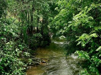 Residential Land for Sale in Idukki, Vagamon, Vagamon, Pasuppara 7th number