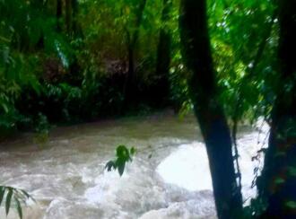 Residential Land for Sale in Idukki, Vagamon, Vagamon, Pasuppara 7th number