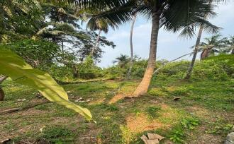 Residential Land for Sale in Kozhikode, Calicut, Calicut town, Near Sarovaram Bio park