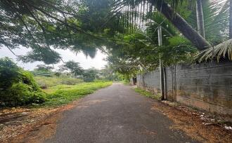Residential Land for Sale in Kozhikode, Calicut, Calicut town, Near Sarovaram Bio park