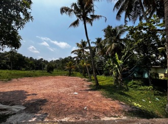 വാസയോഗ്യമായ ഭൂമി വില്പനയ്ക്ക് കോട്ടയം, Kottayam town, Chingavanam, Polachira Road