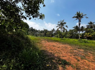 വാസയോഗ്യമായ ഭൂമി വില്പനയ്ക്ക് കോട്ടയം, Kottayam town, Chingavanam, Polachira Road