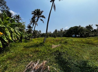 വാസയോഗ്യമായ ഭൂമി വില്പനയ്ക്ക് കോട്ടയം, Kottayam town, Chingavanam, Polachira Road