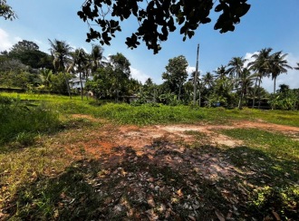 വാസയോഗ്യമായ ഭൂമി വില്പനയ്ക്ക് കോട്ടയം, Kottayam town, Chingavanam, Polachira Road