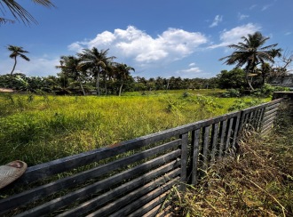 വാസയോഗ്യമായ ഭൂമി വില്പനയ്ക്ക് കോട്ടയം, Kottayam town, Chingavanam, Polachira Road