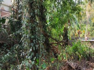 Residential Land for Sale in Kottayam, Ettumanoor, Ettumanoor, Ettumanoorappan college