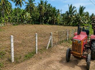 Residential Land for Sale in Palakkad, Chittur, Chittur, thekkegramam