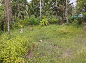 Residential Land for Sale in Ernakulam, Ernakulam town, Kothadu, Kutty Shahib Road