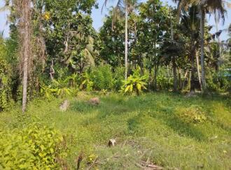 Residential Land for Sale in Ernakulam, Ernakulam town, Kothadu, Kutty Shahib Road