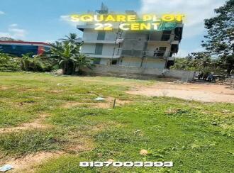 Commercial Land for Sale in Trivandrum, Thiruvananthapuram, Vattiyoorkavu, Near Petrol pump