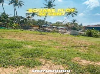 Commercial Land for Sale in Trivandrum, Thiruvananthapuram, Vattiyoorkavu, Near Petrol pump