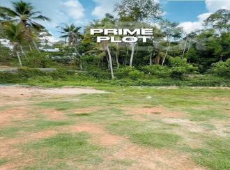 Commercial Land for Sale in Trivandrum, Thiruvananthapuram, Vattiyoorkavu, Near Petrol pump
