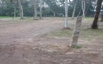 Residential Land for Sale in Alleppey, Kayamkulam, Kareelakulangara, Elemecs Hospital,Kareelakulangara