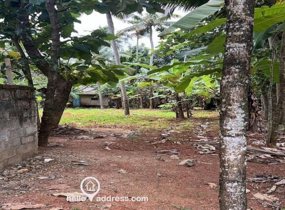 Residential Land for Sale
