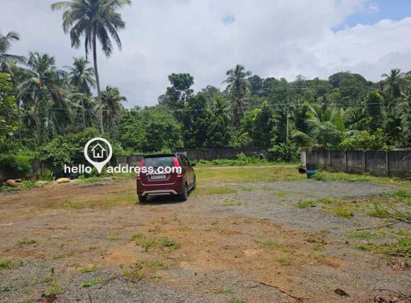 PLOT VIEW