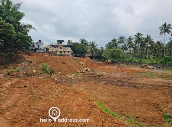 PLOT VIEW