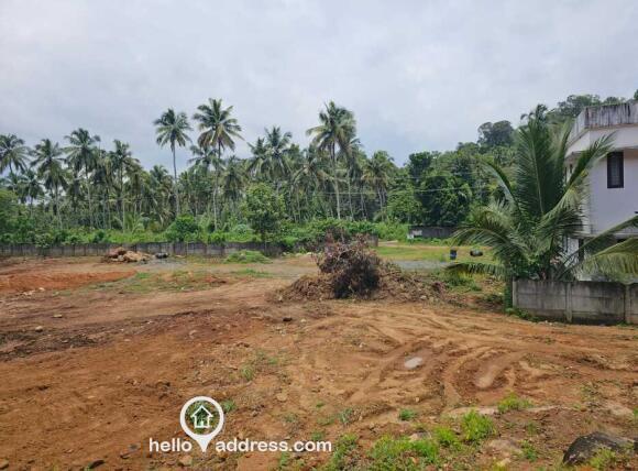 PLOT VIEW