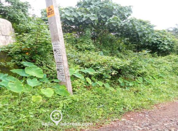 FRONTAGE PANCHAYAT ROAD