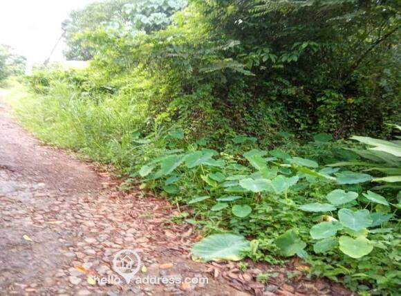 ROAD SIDE ENTRY