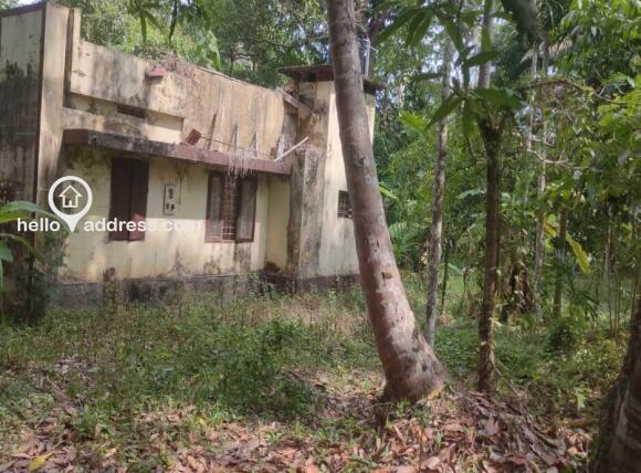 Commercial Land for Sale