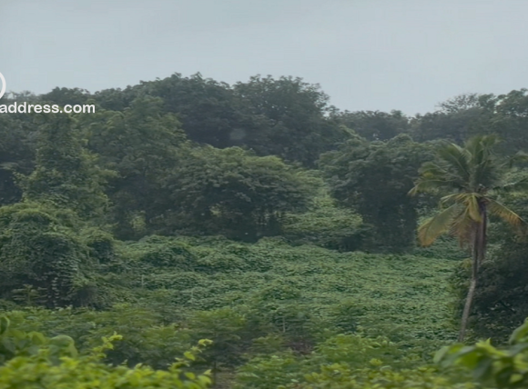 Agricultural Land for Sale