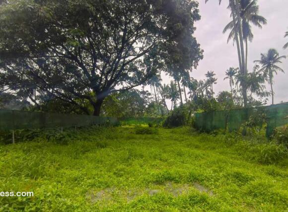വാണിജ്യ ഭൂമി വില്പനയ്ക്ക് 