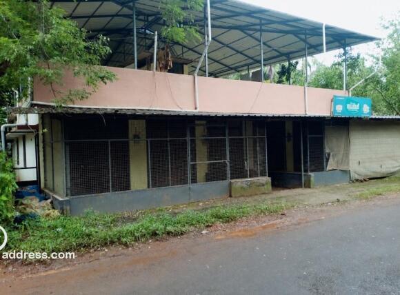Commercial Building for Sale