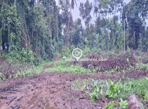 Residential Land for Sale