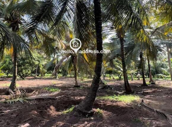 Agricultural Land for Sale