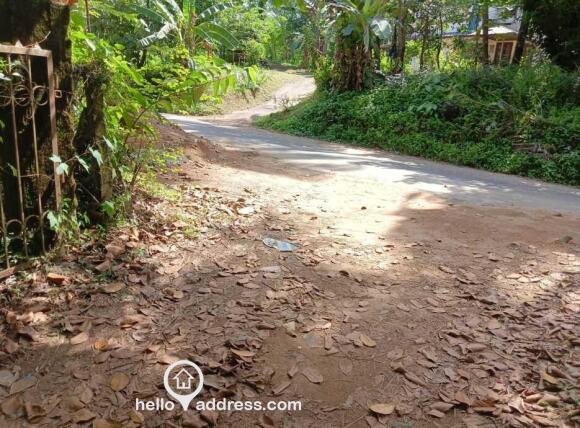 Agricultural Land for Sale