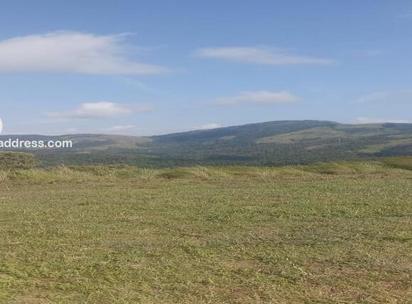 Residential Land for Sale