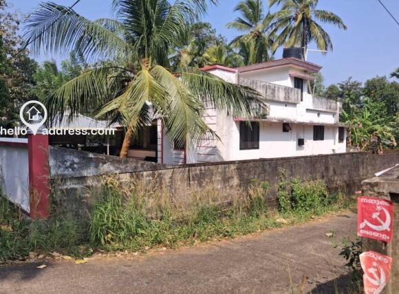 road side view