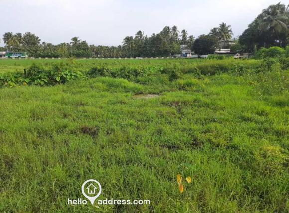 Property location. Main road access