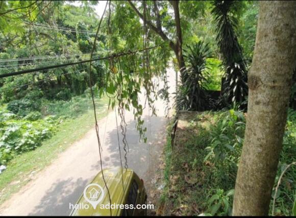 Road View from plot
