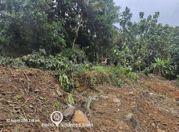 Commercial Land for Sale