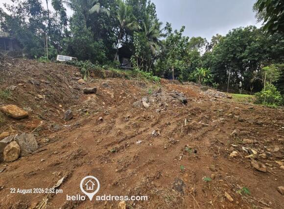commercial plot