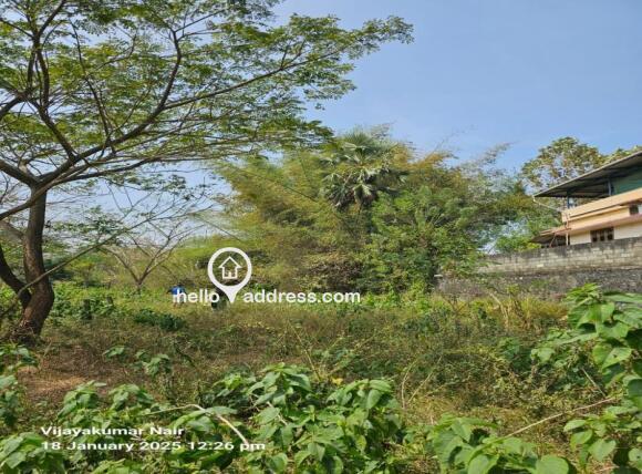Agricultural Land for Sale