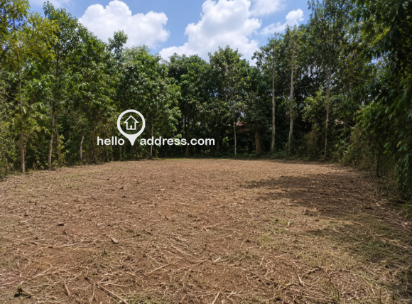 Urgent Sale - Residential Plot 1.9 L / Cent at Thiruvanchoor