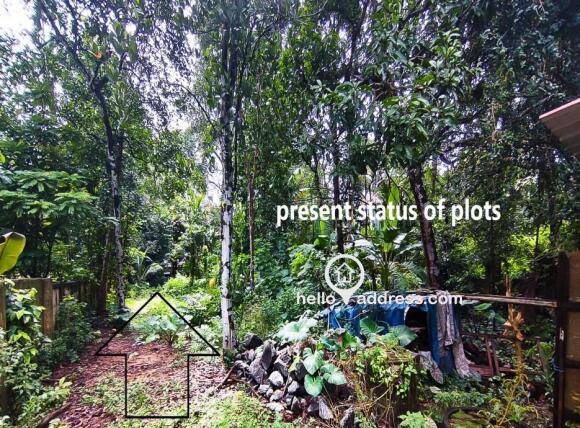 present status of plots - internal road to plots