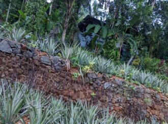 Residential Land for Sale in Kottayam, Pampady, Pampady, Arattukavala