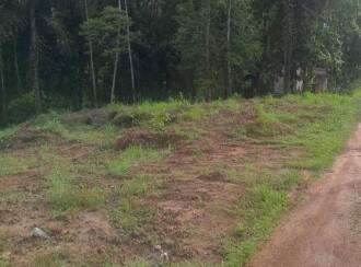 Residential Land for Sale in Kottayam, Kottayam town, Vadavathoor, vadavathoor