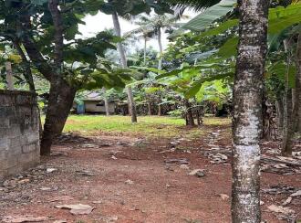 Residential Land for Sale in Trivandrum, Thiruvananthapuram, Pongumoodu, TVM Archana Nagar, Near Alamcode bridge