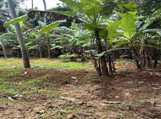 Residential Land for Sale in Trivandrum, Thiruvananthapuram, Pongumoodu, TVM Archana Nagar, Near Alamcode bridge